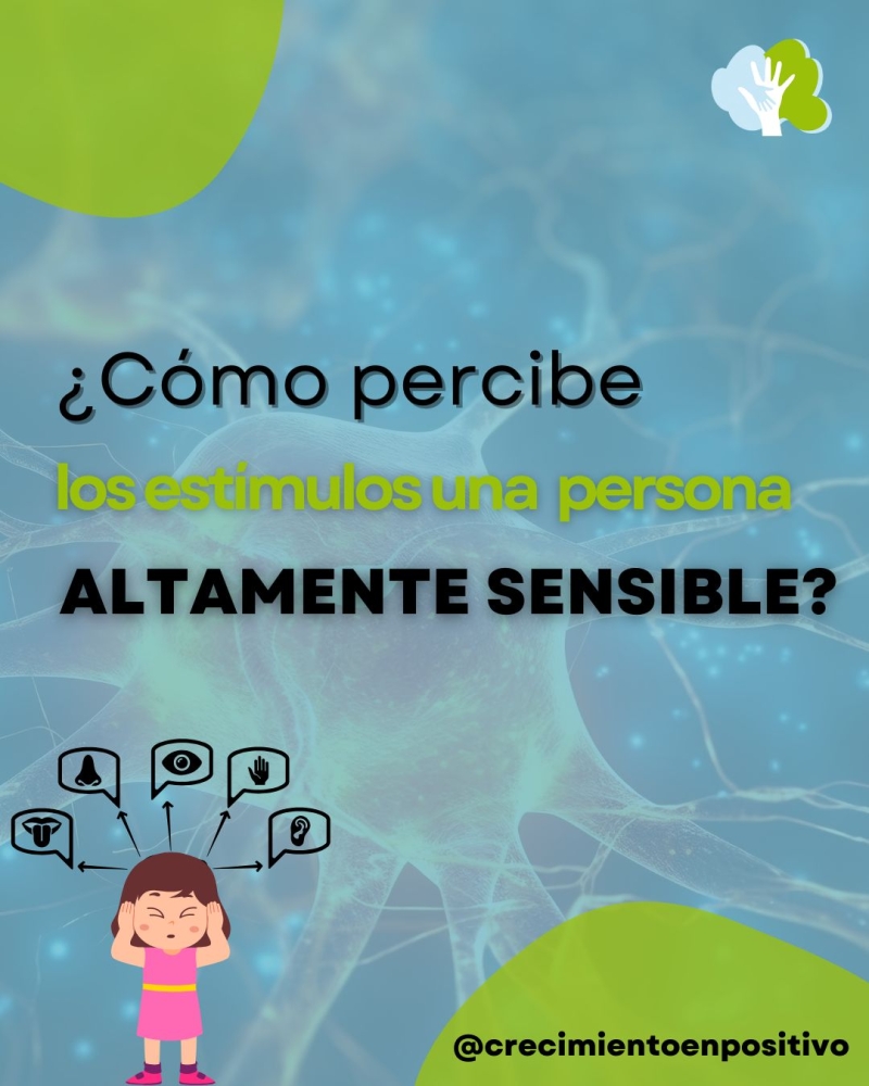 ¿Cómo percibe los estímulos una persona sensible?