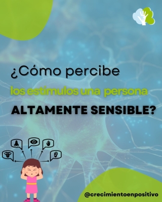 Â¿CÃ³mo percibe los estÃ­mulos una persona sensible?